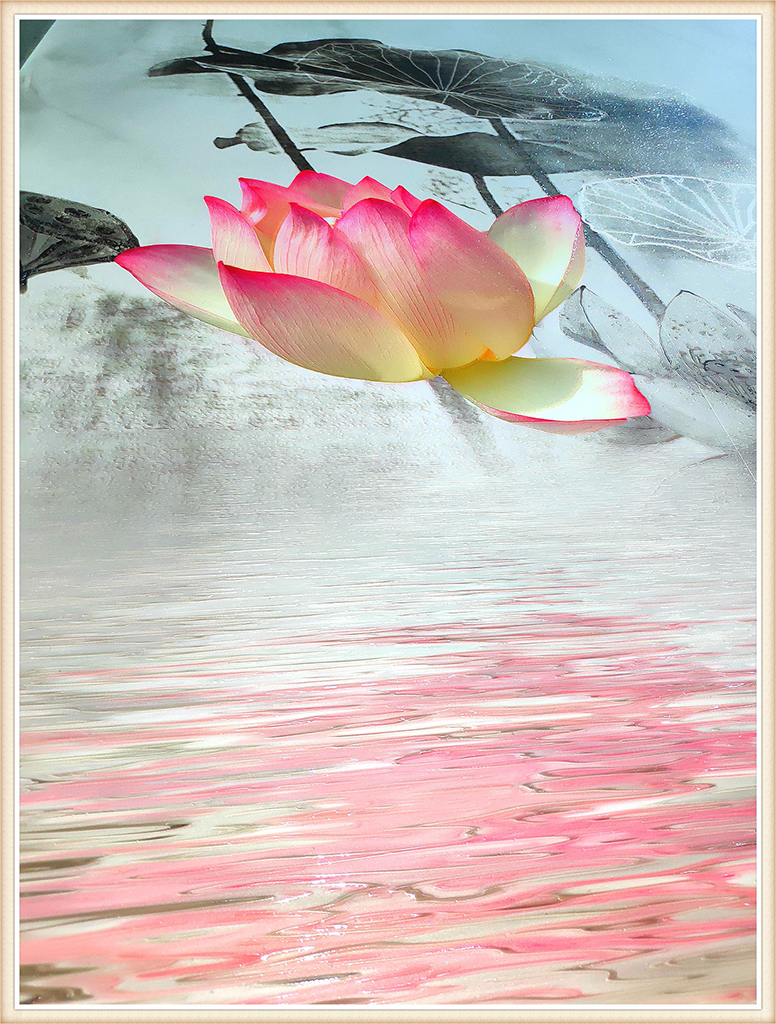 91成年版视频app下载安装