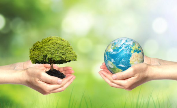 91成年版视频app下载安装