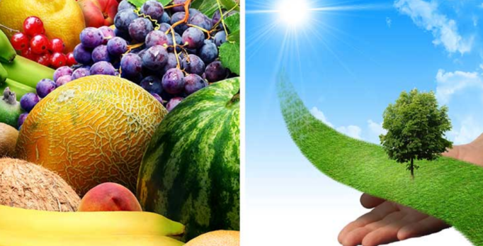 91成年版视频app下载安装