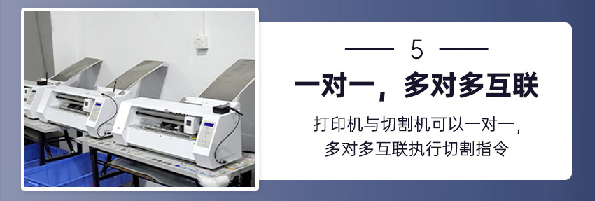 91成年版视频app下载安装