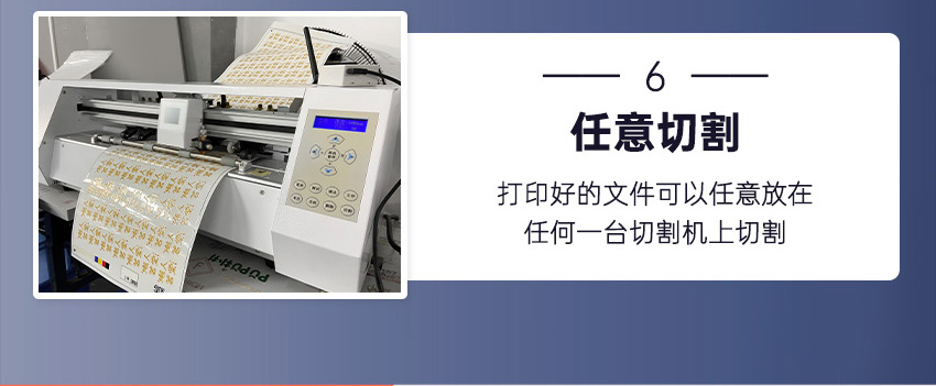 91成年版视频app下载安装