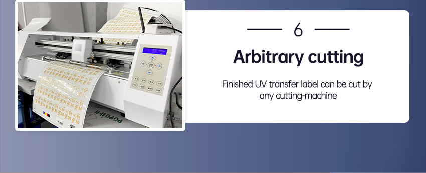 91成年版视频app下载安装